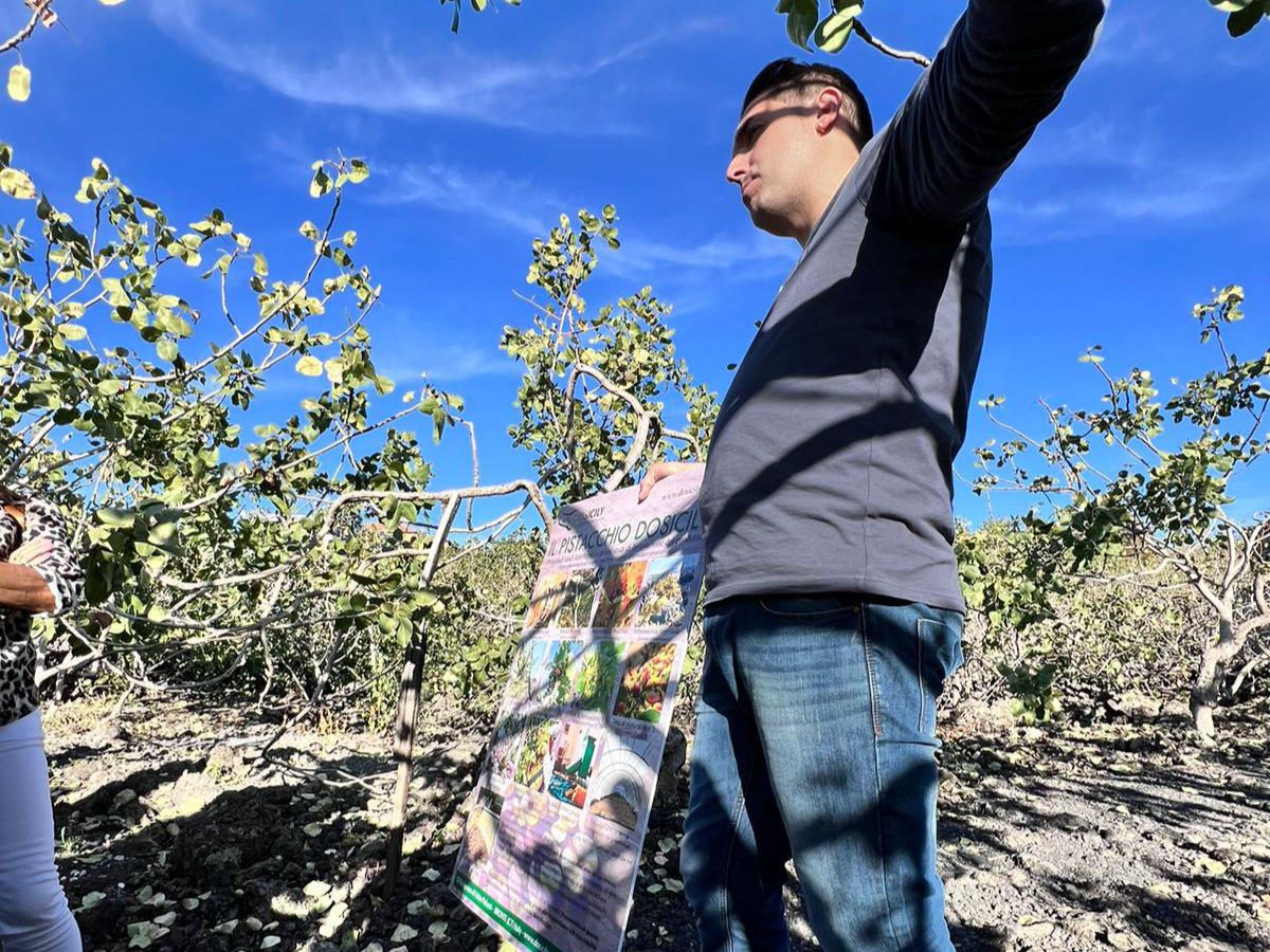 Tour nei Pistacchieti di Bronte con Degustazione