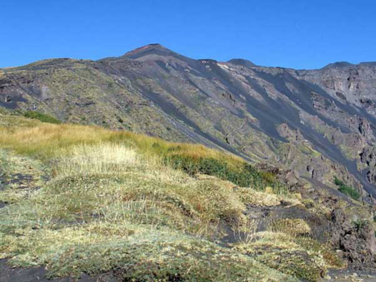 Trekking privato Etna da Catania: natura e avventura