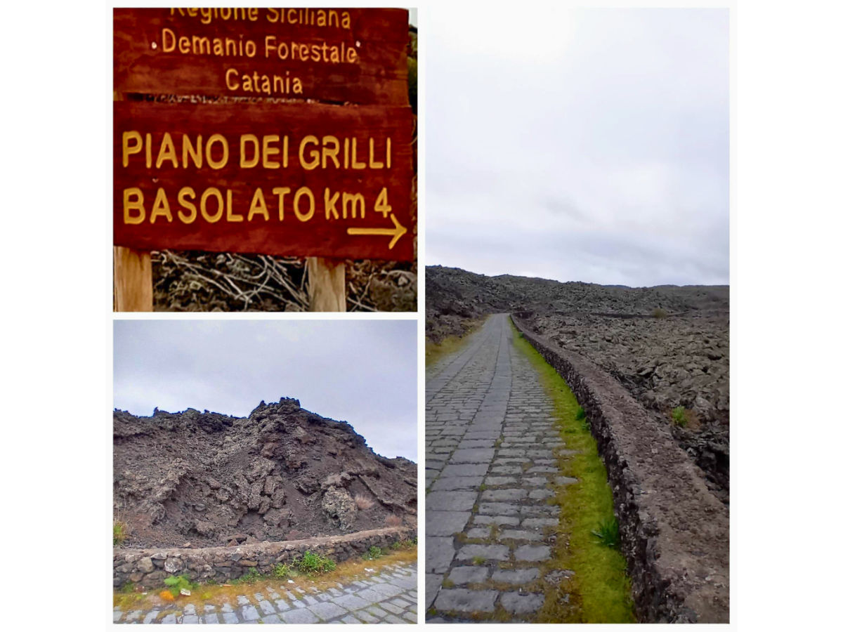 Etna bike ad anello con degustazione: Grilli - Minardo