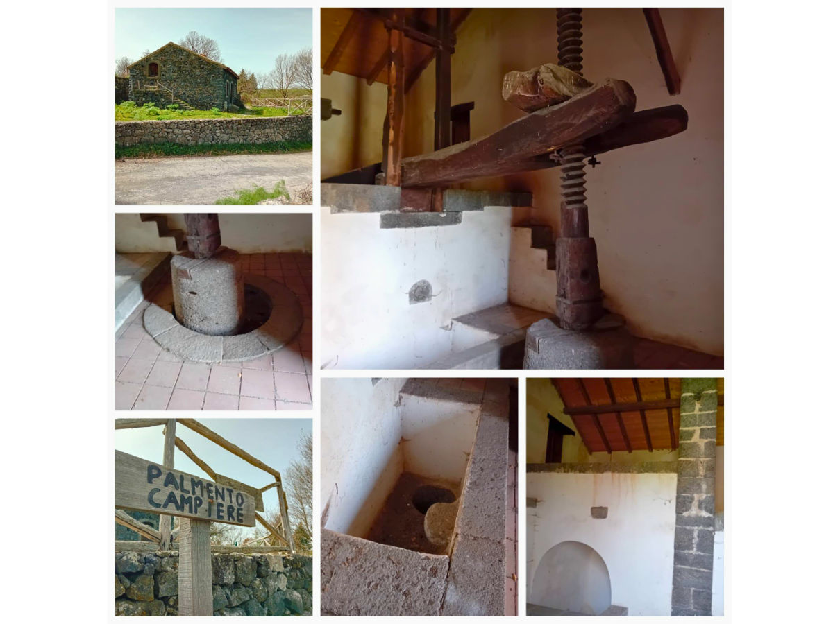 Tour in bici Bronte Maletto percorso impegnativo tra lava, boschi e panorami con degustazione