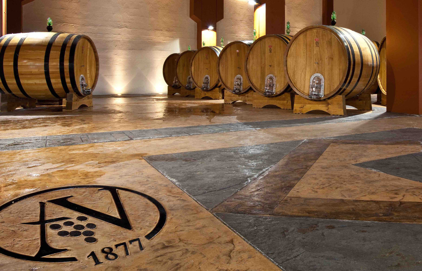 Degustazione vini Etna cantina storica 1877