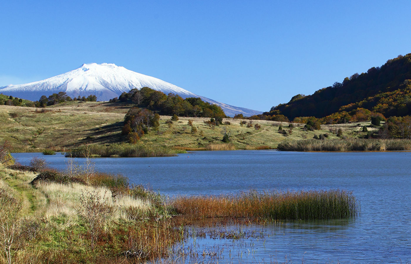Parco dei Nebrodi Life Experience: 3 Giorni di Immersione Totale nel Cuore Selvaggio della Sicilia