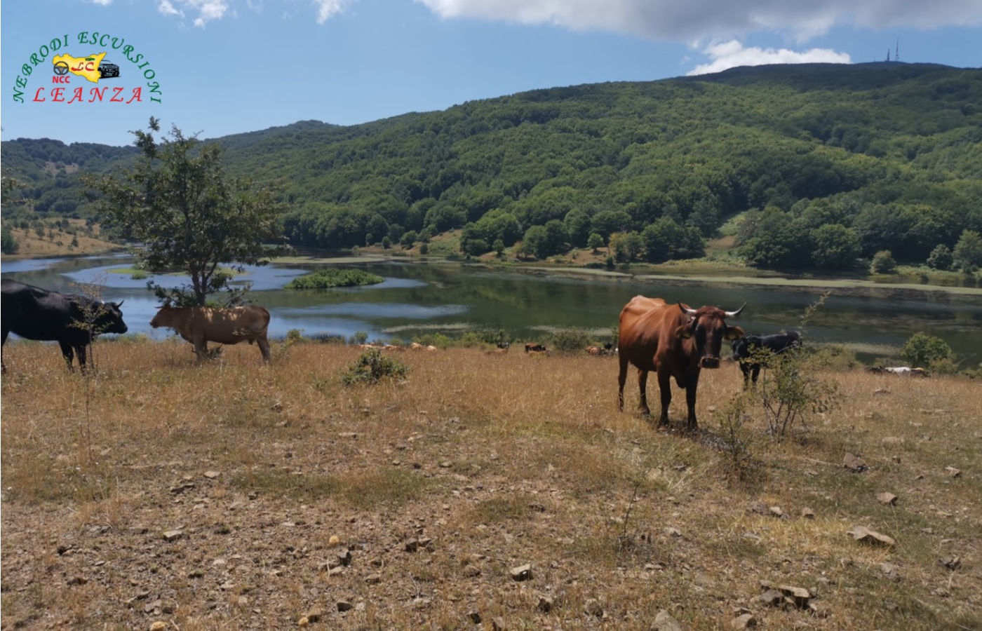 Parco dei Nebrodi Life Experience: 3 Giorni di Immersione Totale nel Cuore Selvaggio della Sicilia