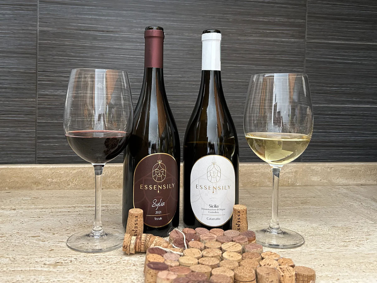 Tour Uliveti e Degustazione Olio e Vino in Sicilia – Esperienza a Balestrate