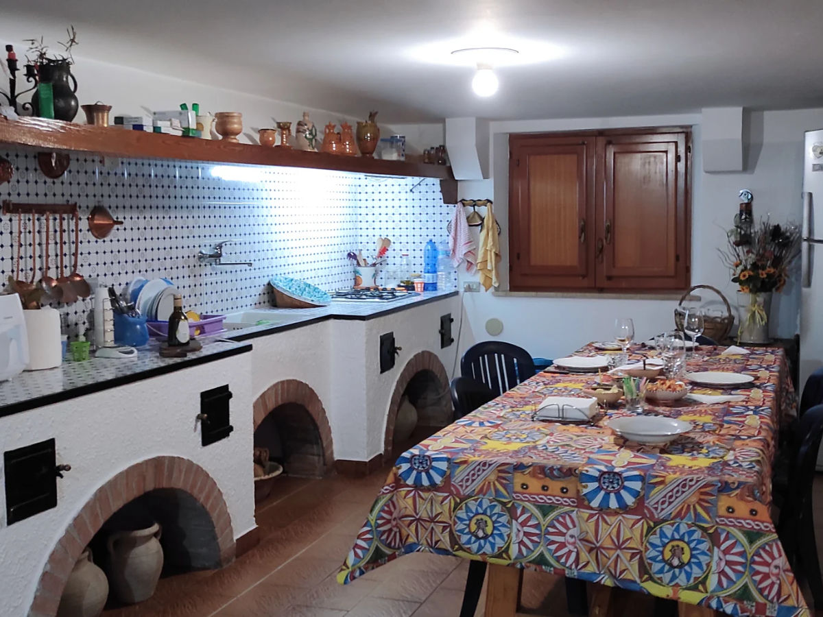 Tour Uliveti e Degustazione Olio e Vino in Sicilia – Esperienza a Balestrate