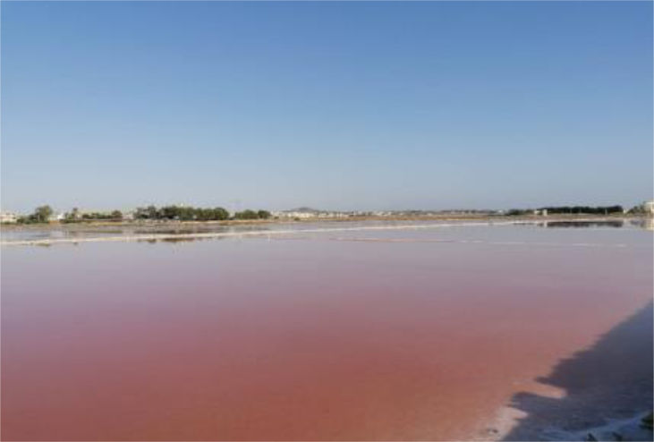 Sale e Sole, Escursione Saline Trapani Paceco: Mulino e Museo in 2h.
