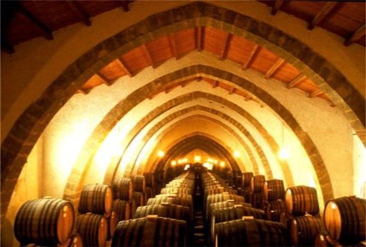 Il vino dal sapore antico Marsala – Tour cantina vinicola