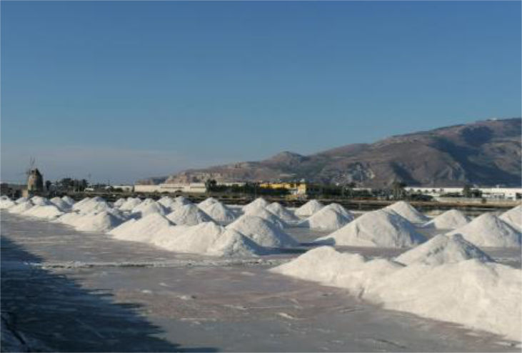 Sale e Sole, Escursione Saline Trapani Paceco: Mulino e Museo in 2h.