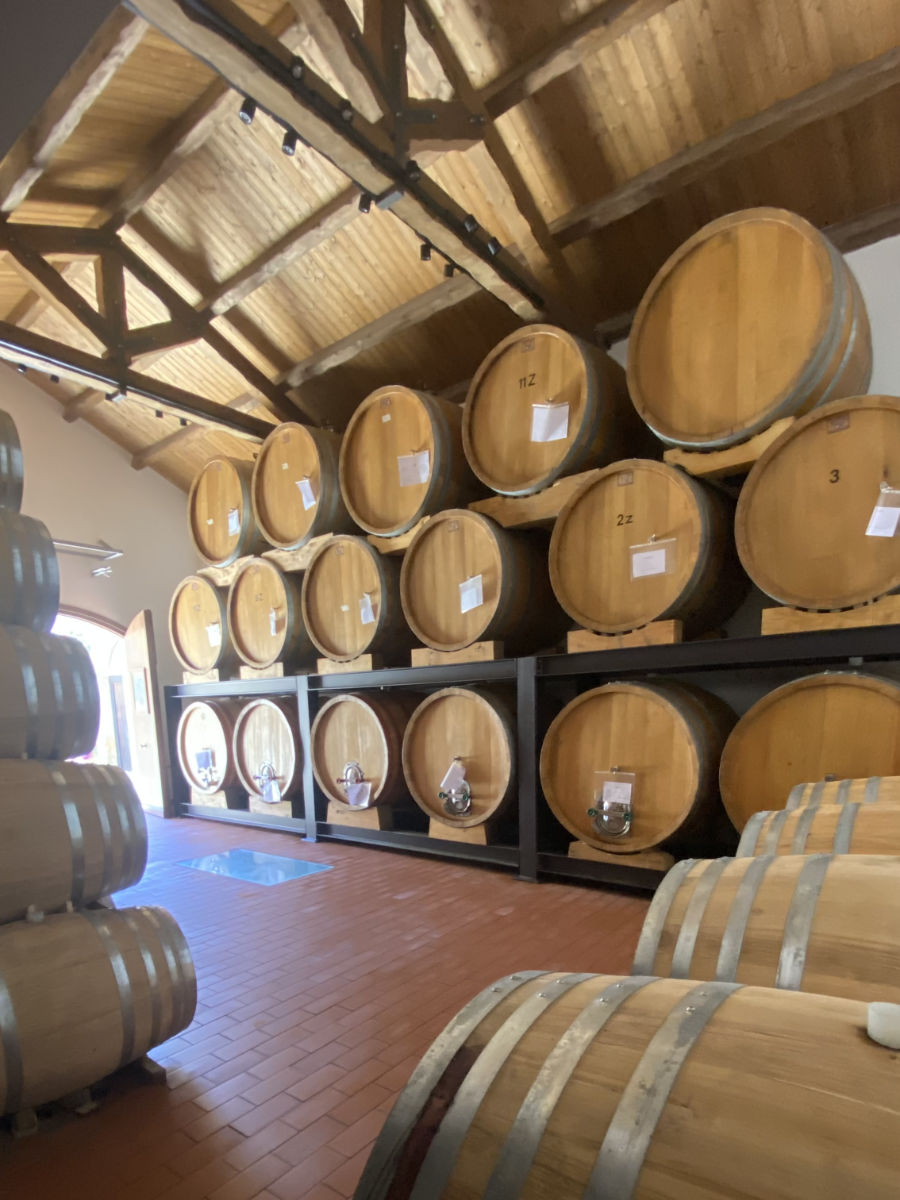 Amunì in Cantina: Visita Guidata Degustazione 3 Vini