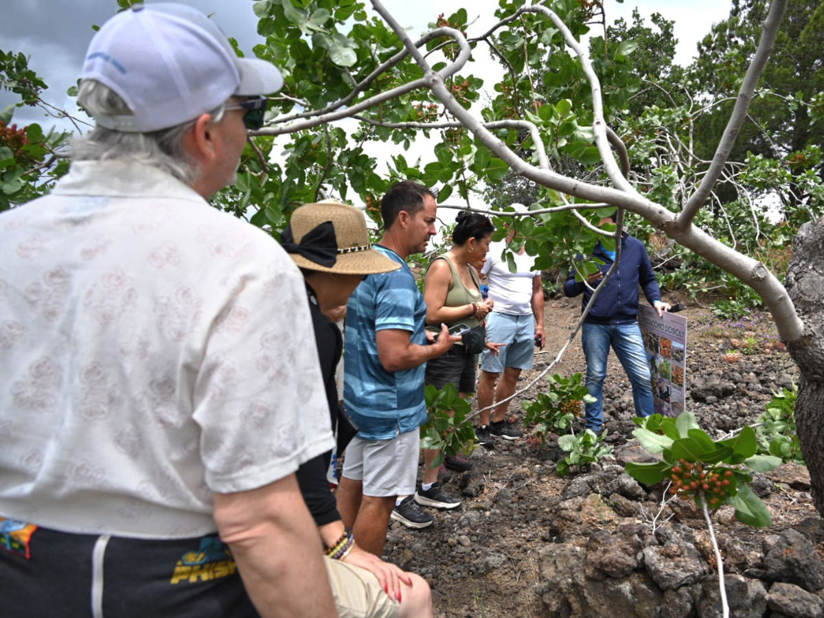Tour nei Pistacchieti di Bronte con Degustazione